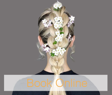 Book Online Book Online